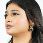 Royal Plum Mehndi