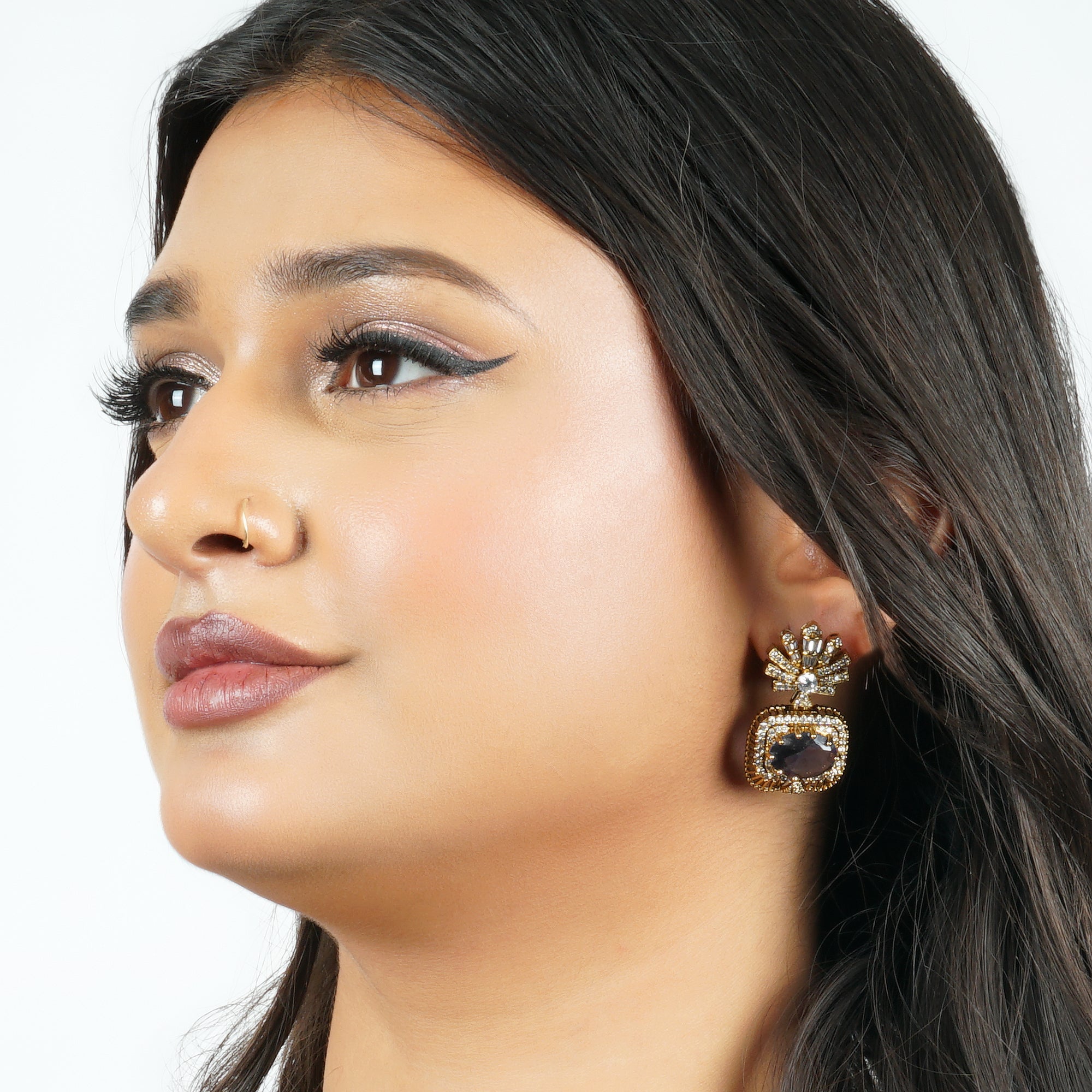 Royal Plum Mehndi