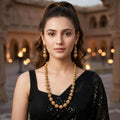 The Rudra-Amsa Mala